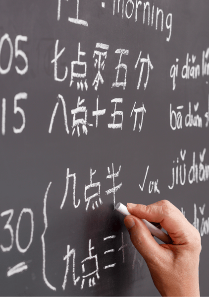 Course Chinese Language: Beginner 1 image 1