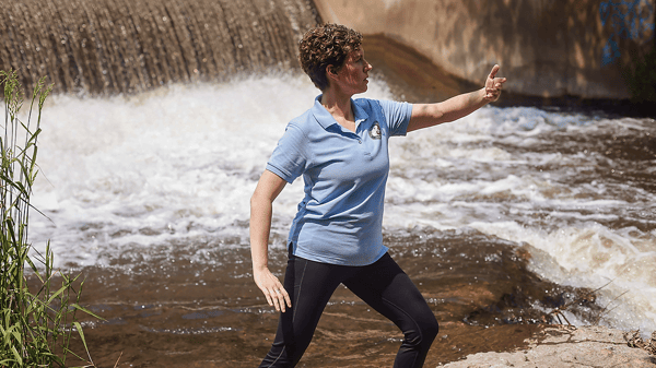 Image for Tai Chi for Arthritis & Fall Prevention