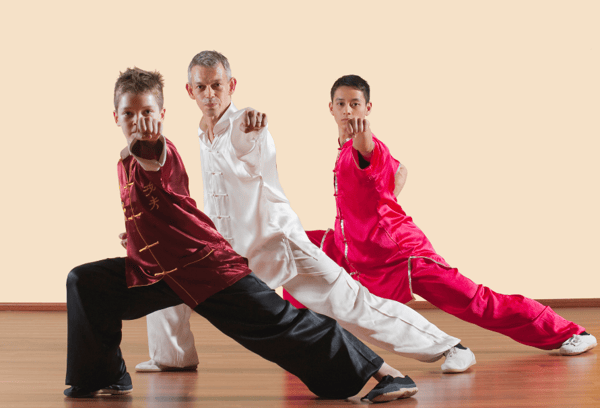 Picture for: Kung Fu (Ages 5 - adult)  White-Blue Belt