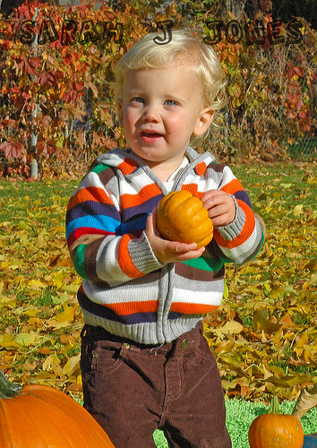 Picture for You Are My Pumpkin