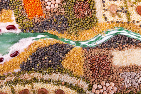 Picture for: Crop Art: A Minnesota Tradition