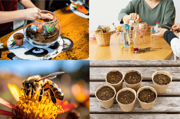 Picture for: Crafts with a Master Gardener!