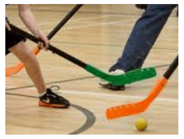 Course Pilot Knob: Floor Hockey with Mr. Herzan (Grades: 1-4) image 1