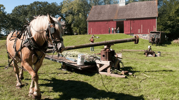 Picture for: Olof Swensson Farm SSP