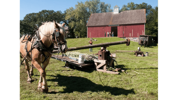 Picture for: Olof Swensson Farm Tour in Montevideo, MN WSP