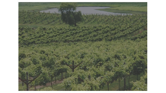 Picture for: Crow River Winery & Carlson's Orchard Bakery WSP