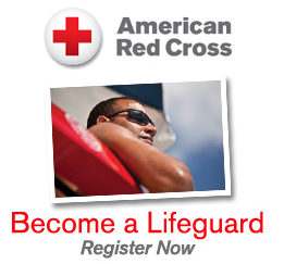 Picture for: Lifeguard - BL