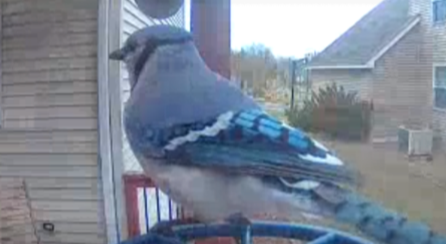 Course Nature Sense with Eloise Deitz image 3