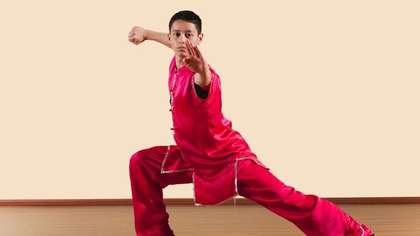 Picture for: Kung Fu (Ages 5 - adult)  Purple-Black Belt