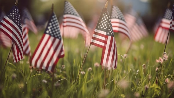 Picture for: Voices of Vietnam: Honoring Service, Confronting Memory, and Understanding a Divided Era