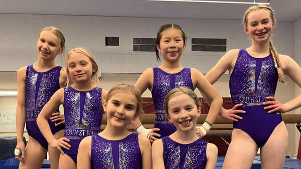 Course Gymnastics - Pre-Team (Cosmo) image 2