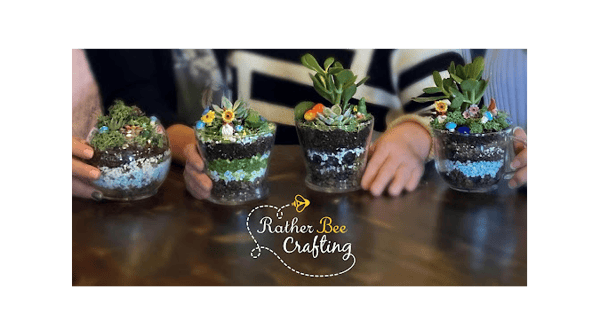 Course Succulent Terrariums image 1
