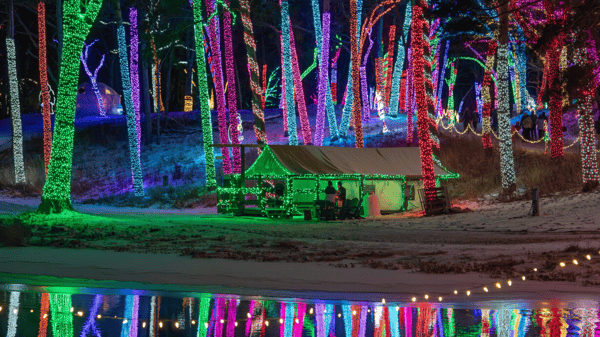 Picture for: Mini Tour: Holiday Light Tour - Miracle at Big Rock