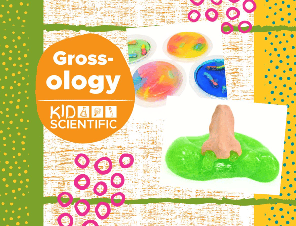 Course Grossology with KidScientific (4-9 years) image 1