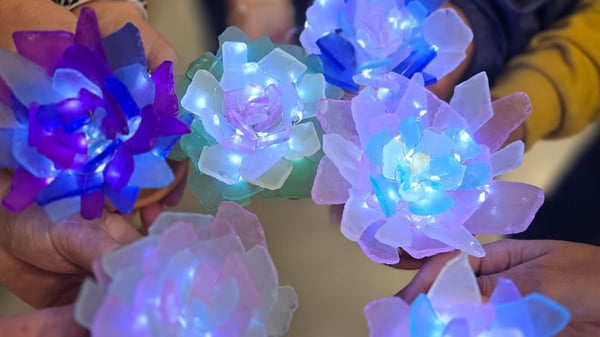 Picture for Sea Glass Succulent