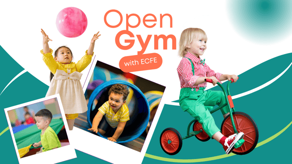 Picture for: Open Gym