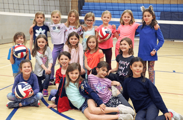 Picture for: Volleyball Skills