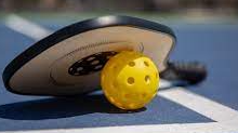 Picture for: Skyhawks Pickleball
