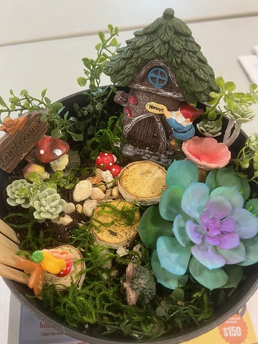 Course Fairy Garden Adventures image 1