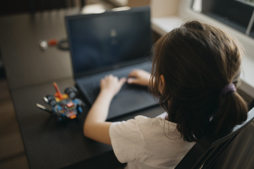 Picture for Game World Builders: Nintendo-Inspired STEAM Camp