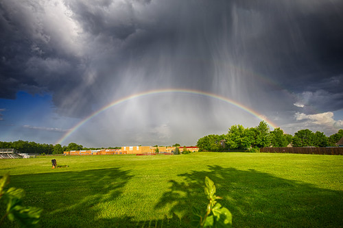 Picture for: Weather Watchers