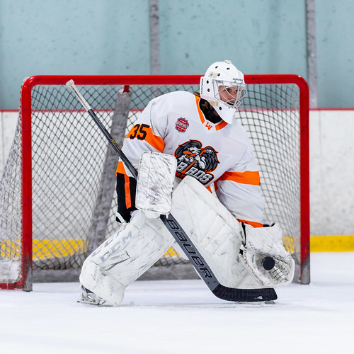 Picture for: Hockey Heroes