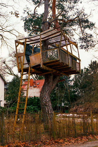 Picture for: Magic Treehouse Travelers