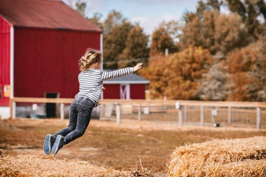 Picture for Day Camp at Bee Sage Farm
