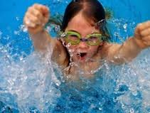 Picture for Dolphins (Ages 7-10 w/little or no exp.)