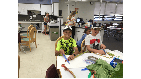 Course Kitchen Bootcamp 101 (Ages 11-17) image 2