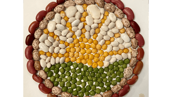Picture for Seed Mosaic: A Minnesota Tradition (Ages 15+ or Ages 8+ w/Adult)