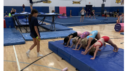 Picture for: Beginner Gymnastics (Ages 5-12)