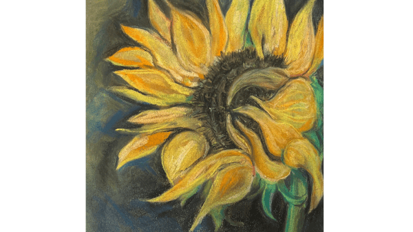 Picture for: Chalk Pastel Sunflower