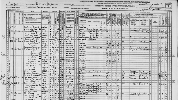 Picture for: Census Records Decoded