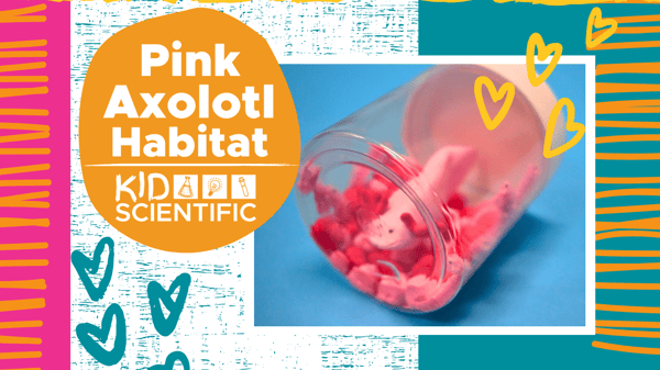 Picture for Pink Axolotl Habitat (Ages 5-12)