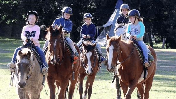 Picture for: My Little Horse Camp