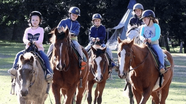 Picture for: Horse Back Riding Single Day Camp