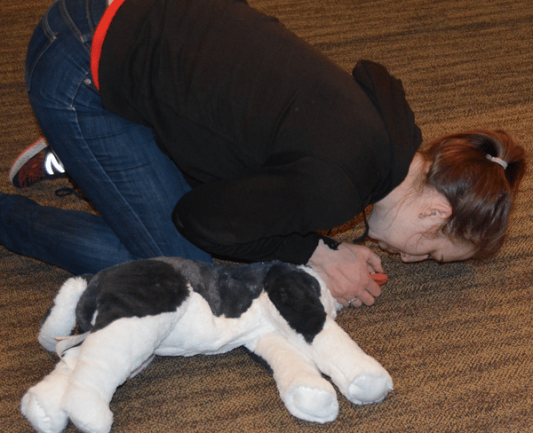 Course Pet CPR & First Aid image 2
