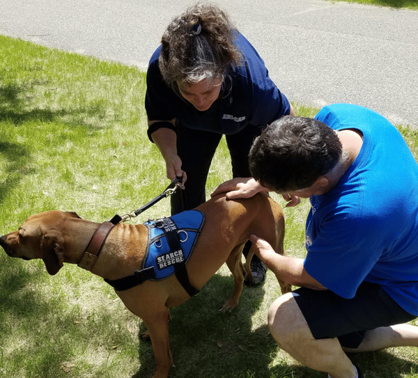 Course Pet CPR & First Aid image 3