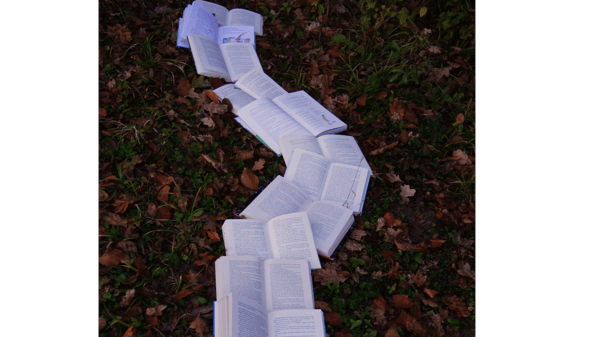 Picture for: Explore 50 Different Self-Publishing Options - Online