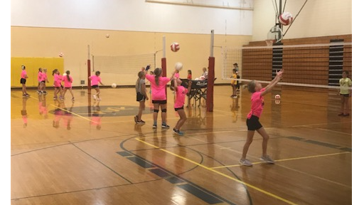 Picture for Youth Volleyball (Gr. K-3)