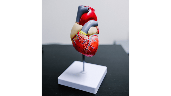 Picture for: Heart Health for Women - Online