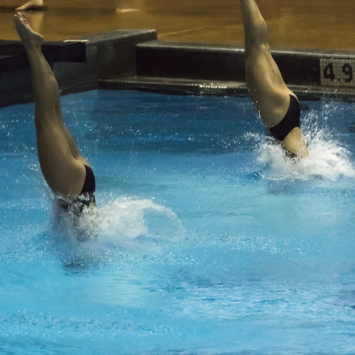 Picture for: Diving Clinic (Grade 6-12)