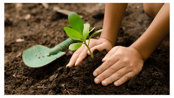 Course Planting Class (Gr. 1-5) image 1