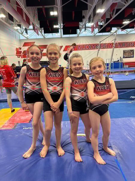 Picture for Gymnastics