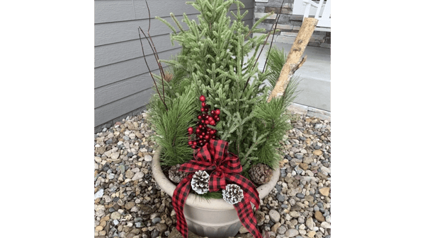 Picture for Craft Your Own Holiday Planter