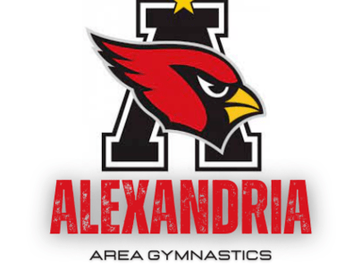 Picture for: Open Gymnastics - Ages 6 and older