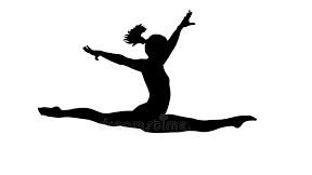 Picture for: Gymnastics Private Lessons