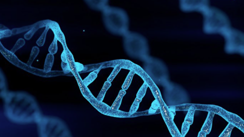 Picture for: DNA 101: The Positive and Negative Effects of using DNA in Genealogical Research - Online