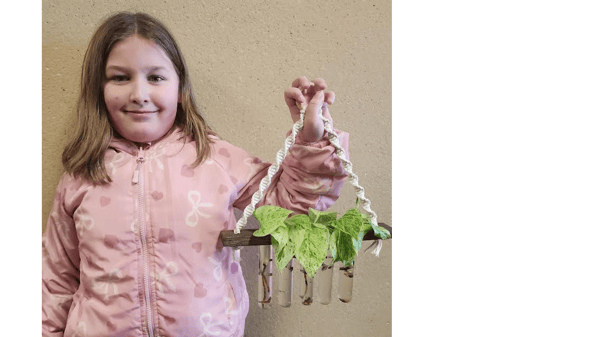 Picture for: Macrame Propagation Station (Ages 10 and up)